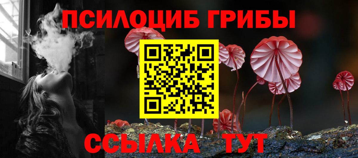 Галлюциногенные грибы прущие грибы  Вход с VPN  Саки 