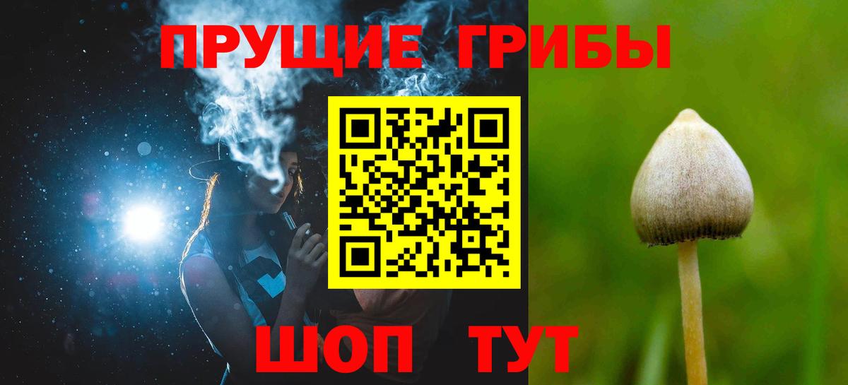 Галлюциногенные грибы Magic Shrooms  Галлюциногенные грибы Psilocybine cubensis  Саки 