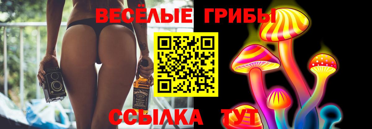 Галлюциногенные грибы мицелий Саки